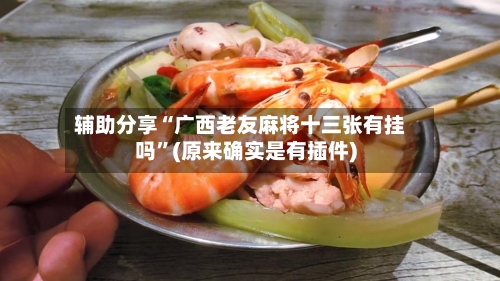 辅助分享“广西老友麻将十三张有挂吗”(原来确实是有插件)-第2张图片