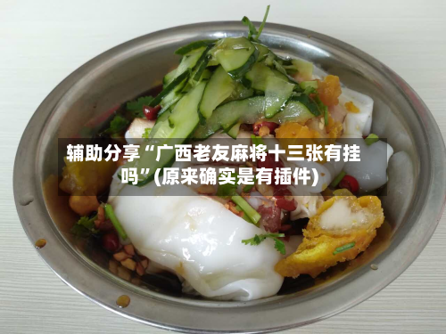 辅助分享“广西老友麻将十三张有挂吗”(原来确实是有插件)-第3张图片