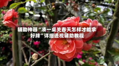 辅助神器“凑一桌关春天怎样才能拿好牌”详细透视辅助教程-第2张图片