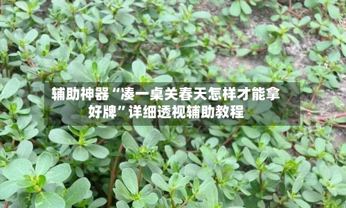 辅助神器“凑一桌关春天怎样才能拿好牌”详细透视辅助教程-第1张图片