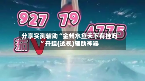 分享实测辅助“金州水鱼天下有挂吗”开挂(透视)辅助神器-第3张图片