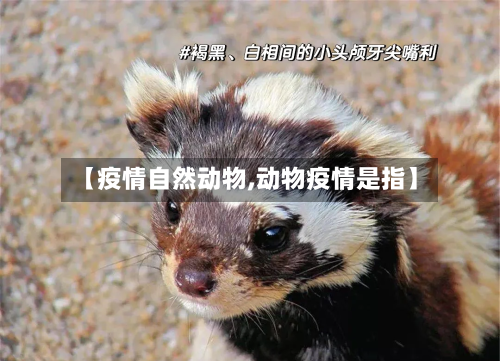 【疫情自然动物,动物疫情是指】-第1张图片