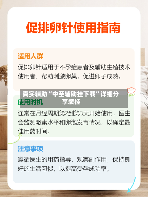 真实辅助“中至辅助挂下载”详细分享装挂-第3张图片