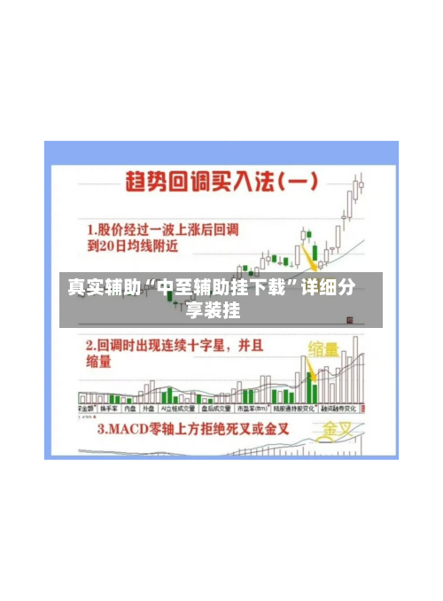 真实辅助“中至辅助挂下载”详细分享装挂-第1张图片