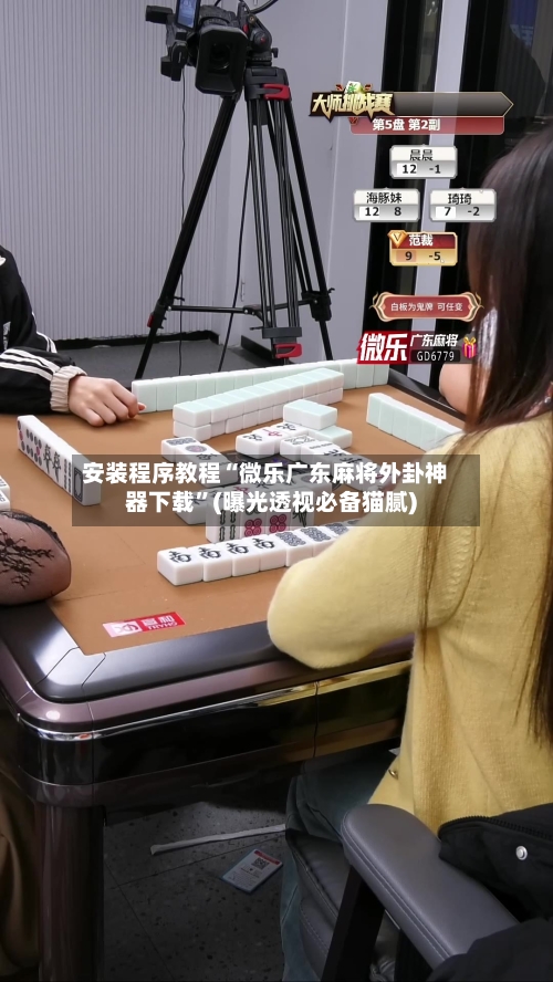 安装程序教程“微乐广东麻将外卦神器下载”(曝光透视必备猫腻)-第2张图片