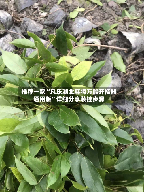 推荐一款“凡乐湖北麻将万能开挂器通用版”详细分享装挂步骤-第1张图片