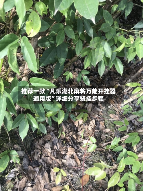 推荐一款“凡乐湖北麻将万能开挂器通用版	”详细分享装挂步骤-第2张图片