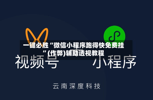 一键必胜“微信小程序跑得快免费挂”(作弊)辅助透视教程-第2张图片