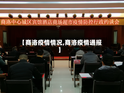 【商洛疫情情况,商洛疫情通报】-第2张图片