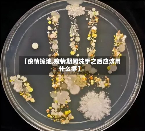 【疫情擦地,疫情期间洗手之后应该用什么擦】-第2张图片