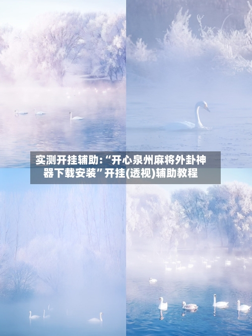 实测开挂辅助:“开心泉州麻将外卦神器下载安装”开挂(透视)辅助教程-第2张图片