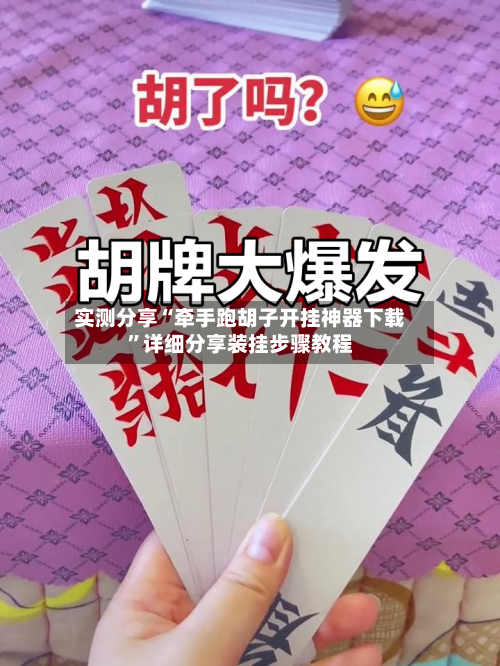 实测分享“牵手跑胡子开挂神器下载”详细分享装挂步骤教程-第1张图片