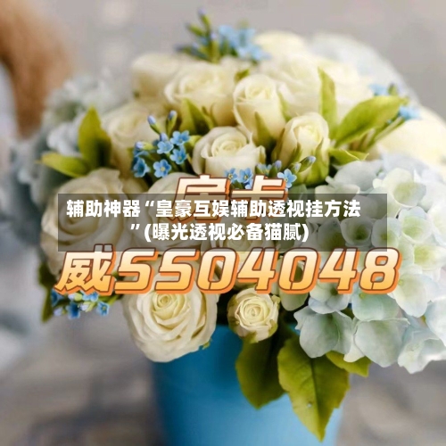 辅助神器“皇豪互娱辅助透视挂方法”(曝光透视必备猫腻)-第1张图片