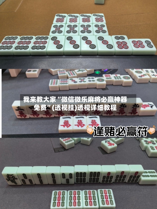 我来教大家“微信微乐麻将必赢神器免费	”(透视挂)透视详细教程-第1张图片