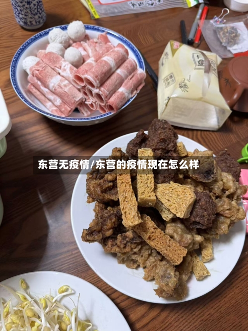 东营无疫情/东营的疫情现在怎么样-第1张图片