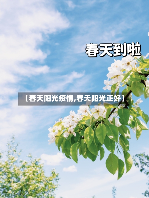 【春天阳光疫情,春天阳光正好】-第1张图片