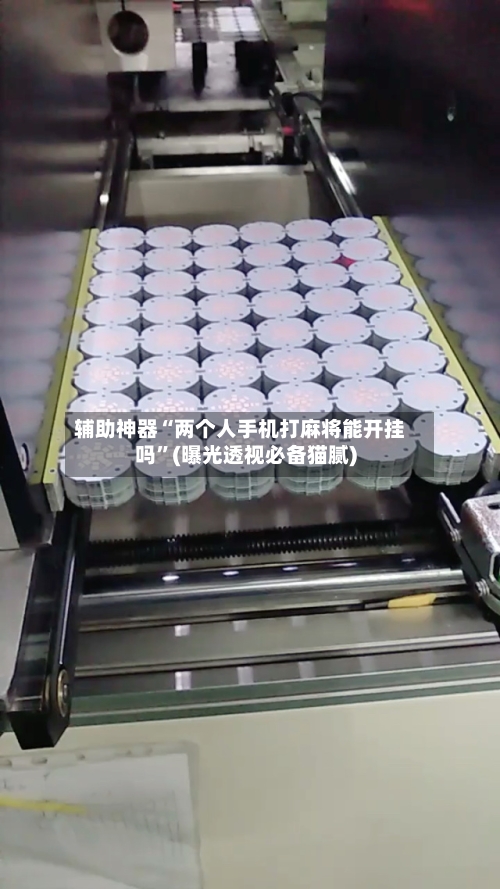 辅助神器“两个人手机打麻将能开挂吗”(曝光透视必备猫腻)-第1张图片