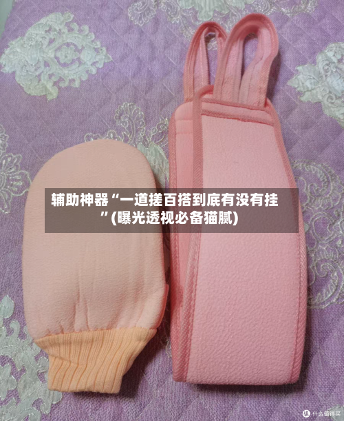 辅助神器“一道搓百搭到底有没有挂	”(曝光透视必备猫腻)-第3张图片