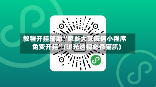 教程开挂辅助“家乡大贰微信小程序免费开挂”(曝光透视必备猫腻)-第2张图片