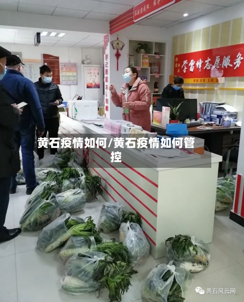 黄石疫情如何/黄石疫情如何管控-第1张图片