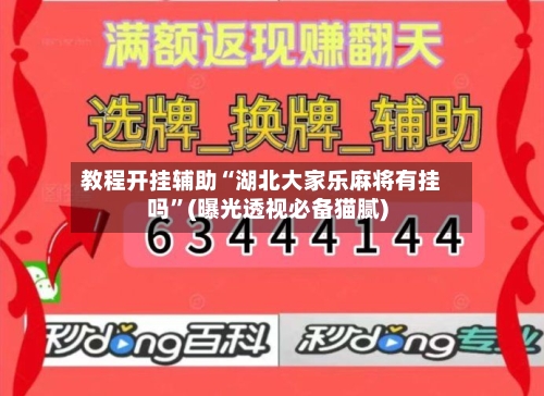 教程开挂辅助“湖北大家乐麻将有挂吗	”(曝光透视必备猫腻)-第2张图片