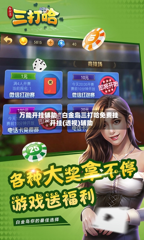 万能开挂辅助“白金岛三打哈免费挂”开挂(透视)辅助-第2张图片