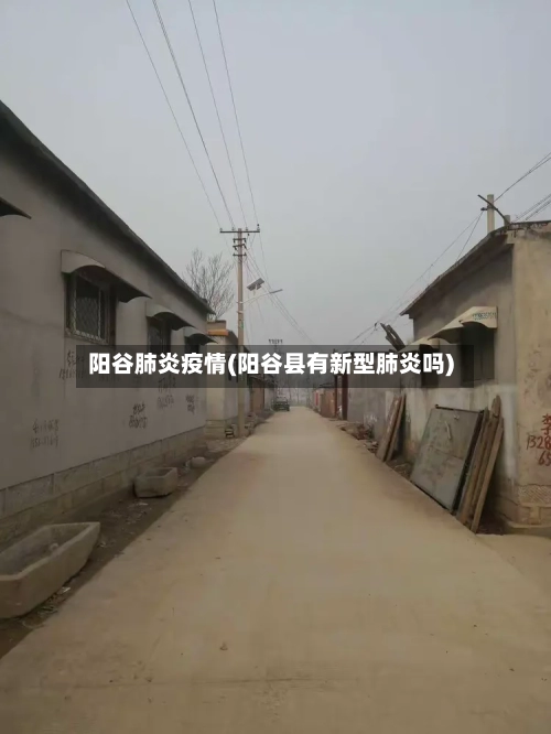 阳谷肺炎疫情(阳谷县有新型肺炎吗)-第3张图片