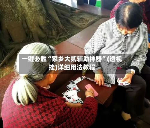 一键必胜“家乡大贰辅助神器”(透视挂)详细用法教程-第1张图片