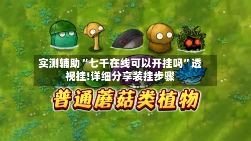 实测辅助“七千在线可以开挂吗”透视挂!详细分享装挂步骤-第1张图片