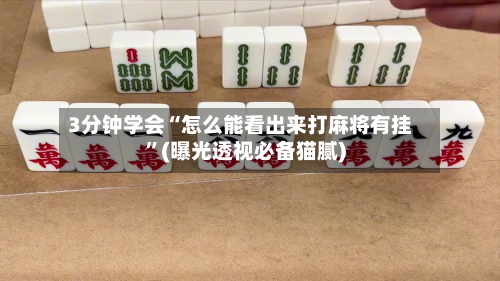 3分钟学会“怎么能看出来打麻将有挂”(曝光透视必备猫腻)-第3张图片