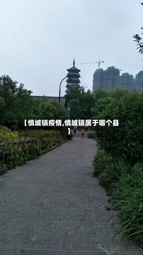 【慎城镇疫情,慎城镇属于哪个县】-第2张图片