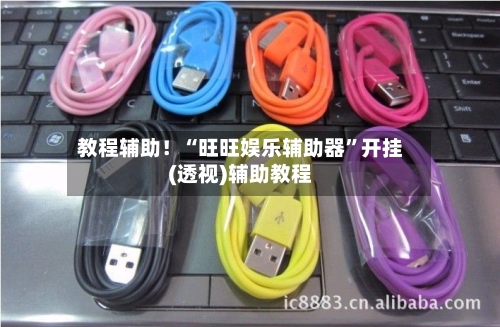 教程辅助！“旺旺娱乐辅助器”开挂(透视)辅助教程-第2张图片