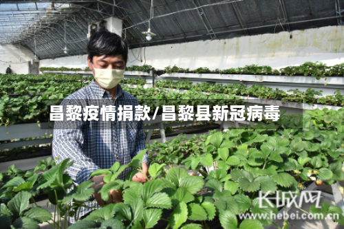 昌黎疫情捐款/昌黎县新冠病毒-第1张图片