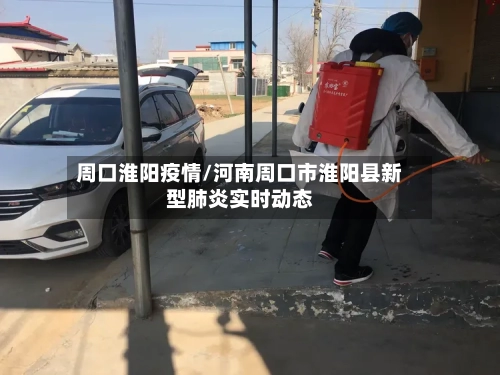 周口淮阳疫情/河南周口市淮阳县新型肺炎实时动态-第2张图片