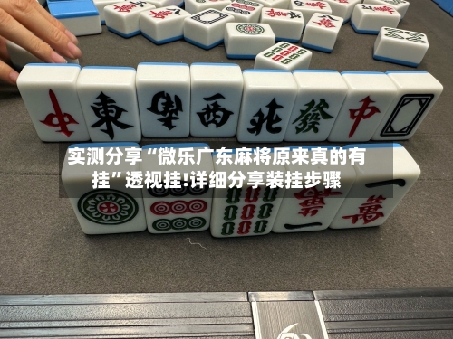 实测分享“微乐广东麻将原来真的有挂”透视挂!详细分享装挂步骤-第3张图片