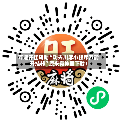 万能开挂辅助“功夫川麻小程序万能开挂器”原来有神器下载！-第2张图片