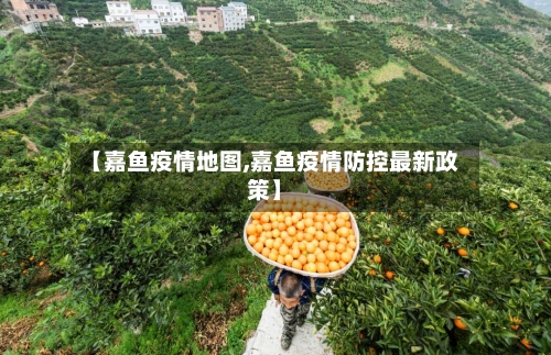 【嘉鱼疫情地图,嘉鱼疫情防控最新政策】-第1张图片