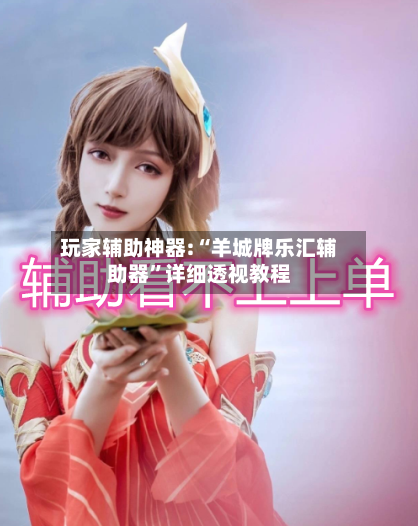 玩家辅助神器:“羊城牌乐汇辅助器	”详细透视教程-第1张图片