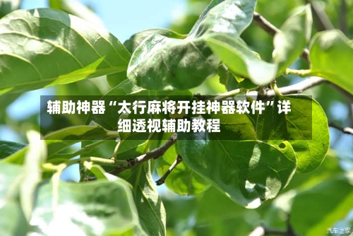 辅助神器“太行麻将开挂神器软件	”详细透视辅助教程-第1张图片