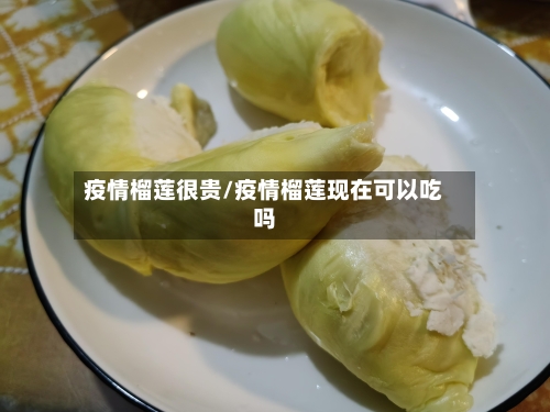 疫情榴莲很贵/疫情榴莲现在可以吃吗-第2张图片