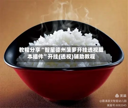 教程分享“智星德州菠萝开挂透视脚本插件”开挂(透视)辅助教程-第1张图片