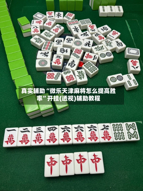 真实辅助“微乐天津麻将怎么提高胜率”开挂(透视)辅助教程-第1张图片