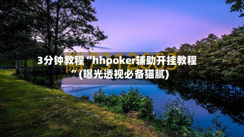 3分钟教程“hhpoker辅助开挂教程	”(曝光透视必备猫腻)-第1张图片