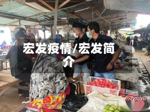 宏发疫情/宏发简介-第1张图片