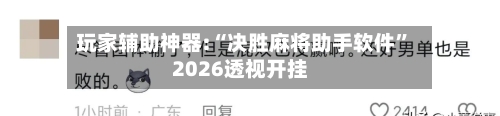玩家辅助神器:“决胜麻将助手软件”2026透视开挂-第3张图片