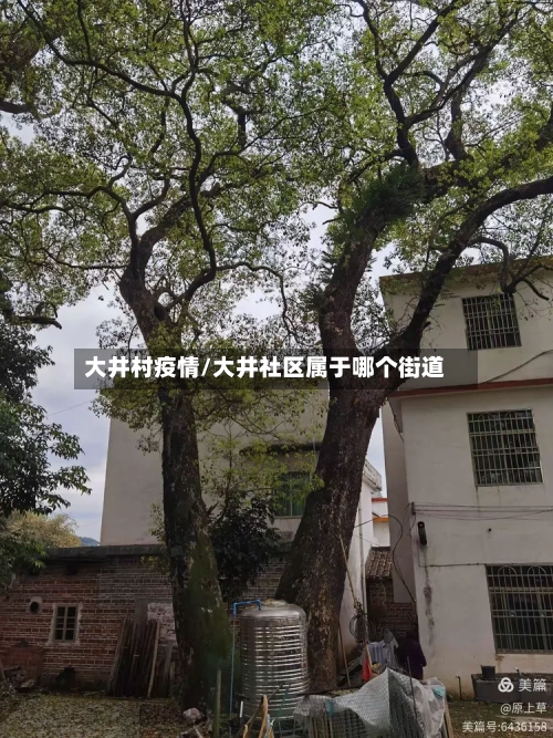 大井村疫情/大井社区属于哪个街道-第2张图片