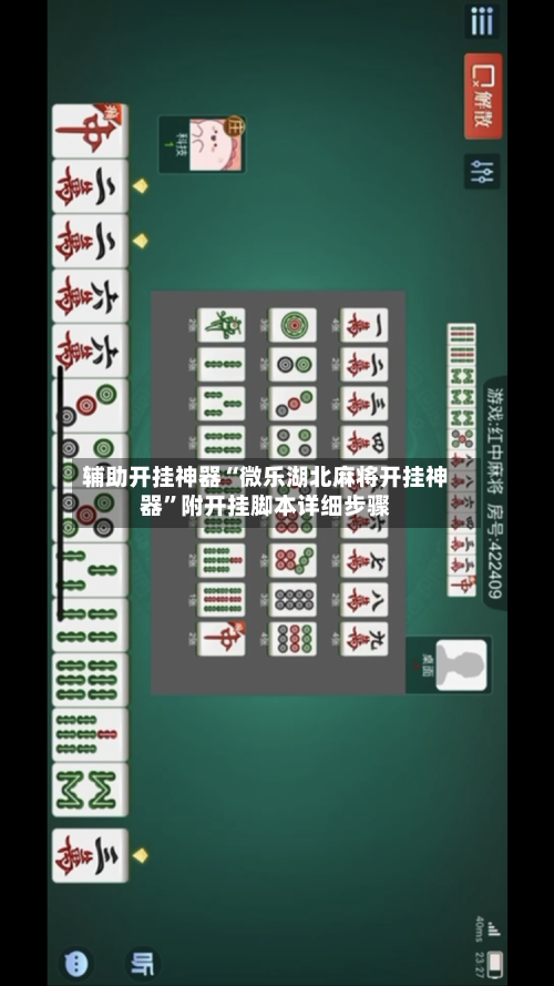 辅助开挂神器“微乐湖北麻将开挂神器”附开挂脚本详细步骤-第2张图片