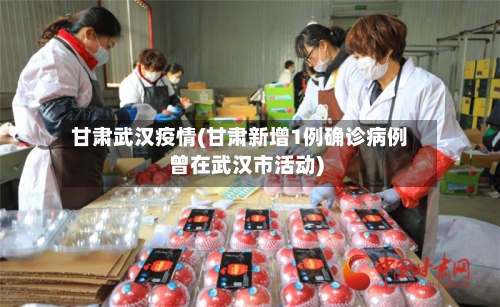 甘肃武汉疫情(甘肃新增1例确诊病例曾在武汉市活动)-第3张图片