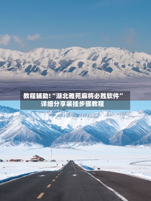 教程辅助!“湖北雅苑麻将必胜软件”详细分享装挂步骤教程-第1张图片