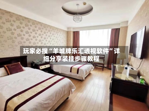 玩家必搜“羊城牌乐汇透视软件”详细分享装挂步骤教程-第1张图片